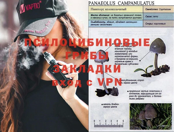 jwh Россошь