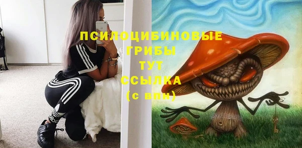 мяу мяу мука Абинск