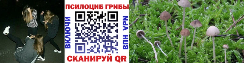 Галлюциногенные грибы мухоморы Донецк